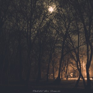 Lassee bei Nacht, Marchfeld