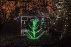 Light Fowers